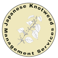 Japanese Knotweed Management Services